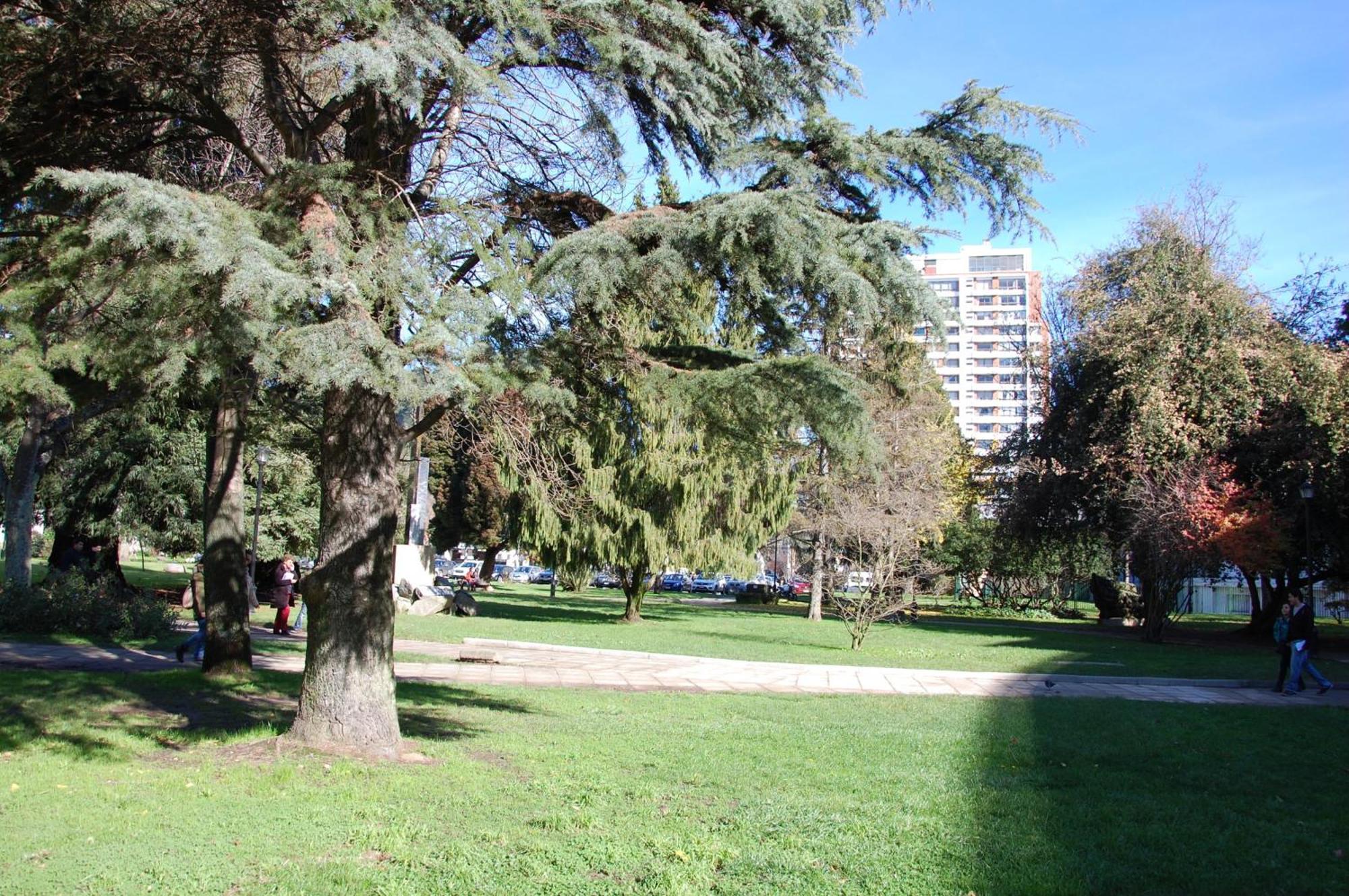 Hotel Plaza Concepción Kültér fotó